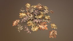Dead autumn leaves
