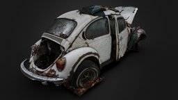 Abandoned Beetle in Woods (Raw Scan)