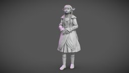 Tavra Princess 3D print model
