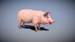 Pig rigged PBR Low-poly 3D model