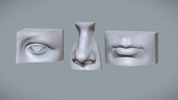 Human Mouth, Eye and Nose Reference