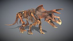 Animated triceratops skeleton