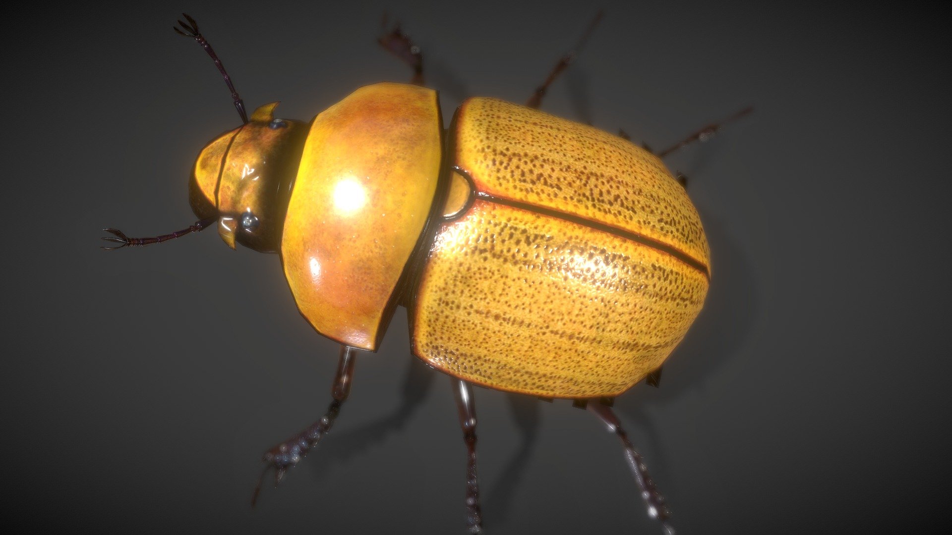 Scarab Beetle Lowpolys 3d 3d Model