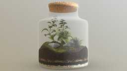 Forest In a Jar