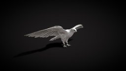 falcon bird PUBG