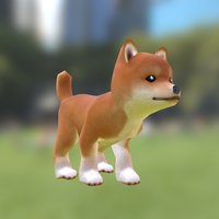 Shiba-inu Puppy