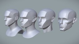 Head Structure for Artist